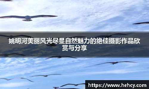 VWIN德赢